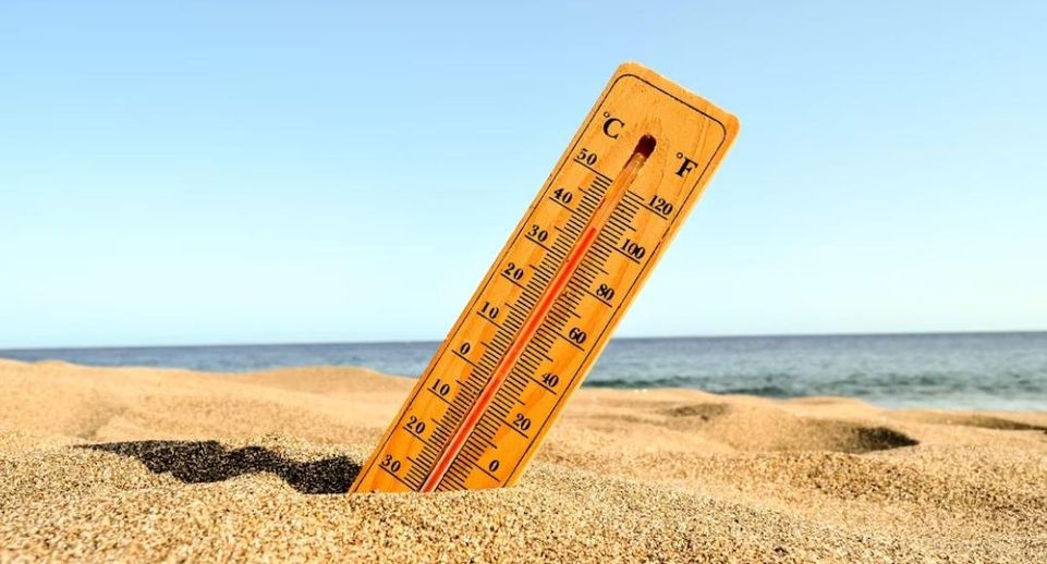 Синоптик Вильфанд заявил, что будут новые периоды жаркой погоды в России