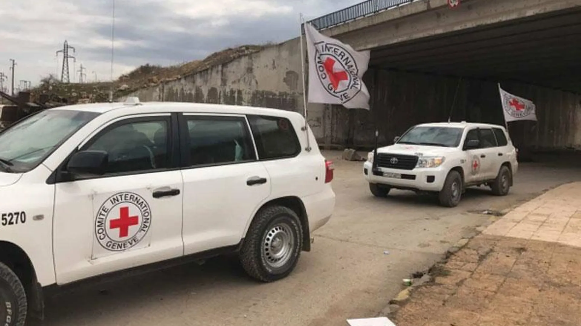 Международный комитет Красного Креста обеспечивает жителей Алеппо едой