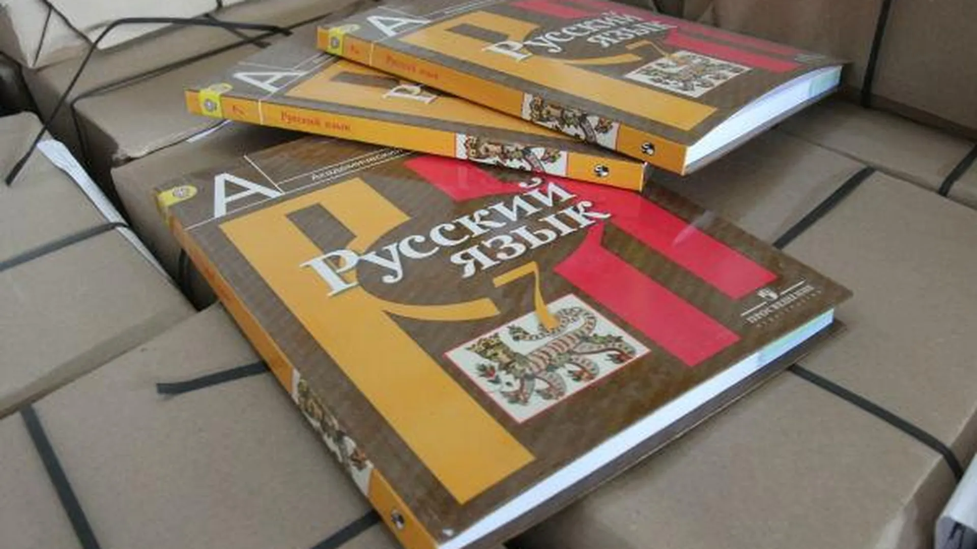 Детсад из Мытищ поделился учебниками русского языка с детьми Болгарии