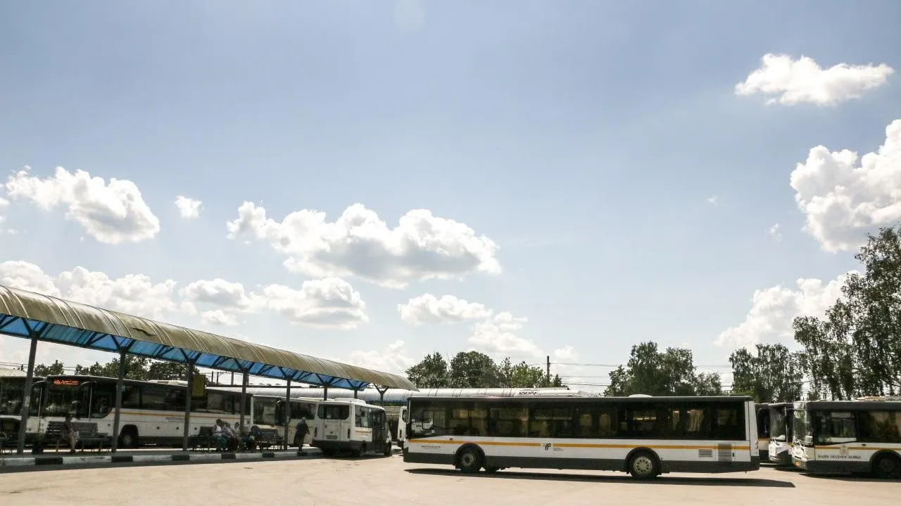 Пассажиры Подмосковья совершили почти сто миллионов поездок на автобусах с начала лета