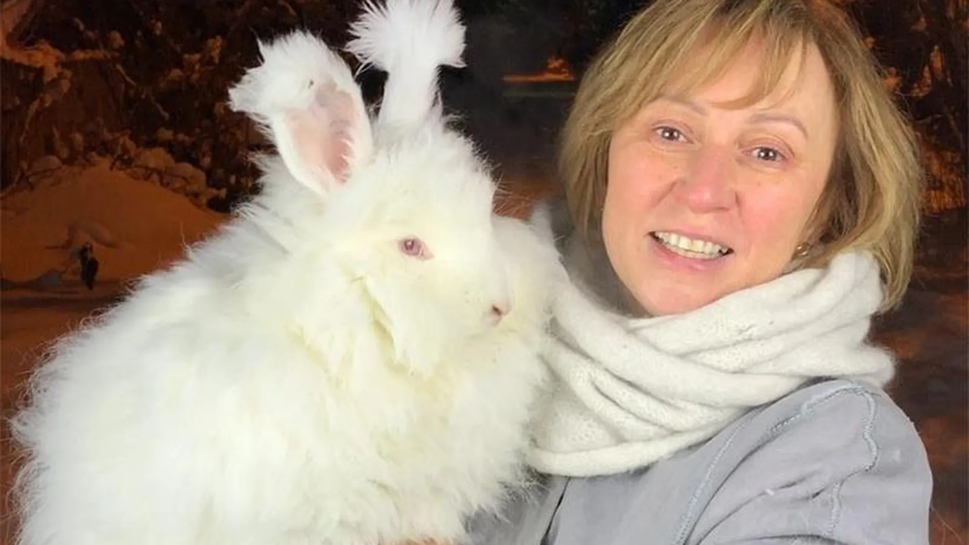 Жительница Подмосковья согрела сотни недоношенных детей с помощью кроликов 