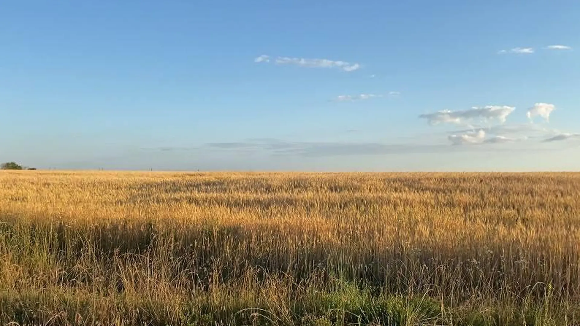 Соглашение о сельскохозяйственных землях подписали в Подмосковье