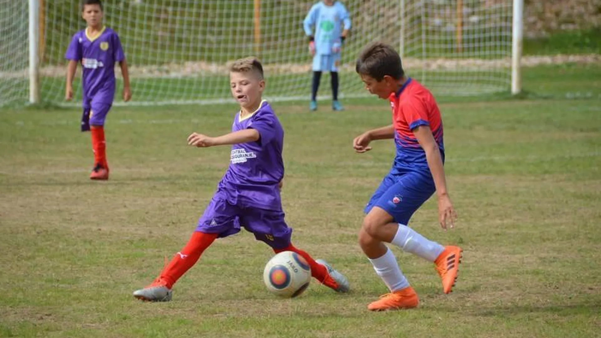 Белградский клуб «Црвена Звезда» организует футбольный лагерь для детей в Подмосковье