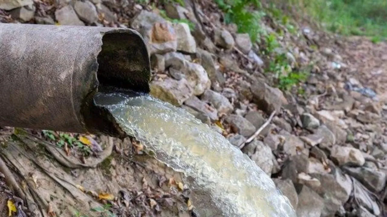 Обстоятельства загрязнения почвы сточными водами выясняют в Химках