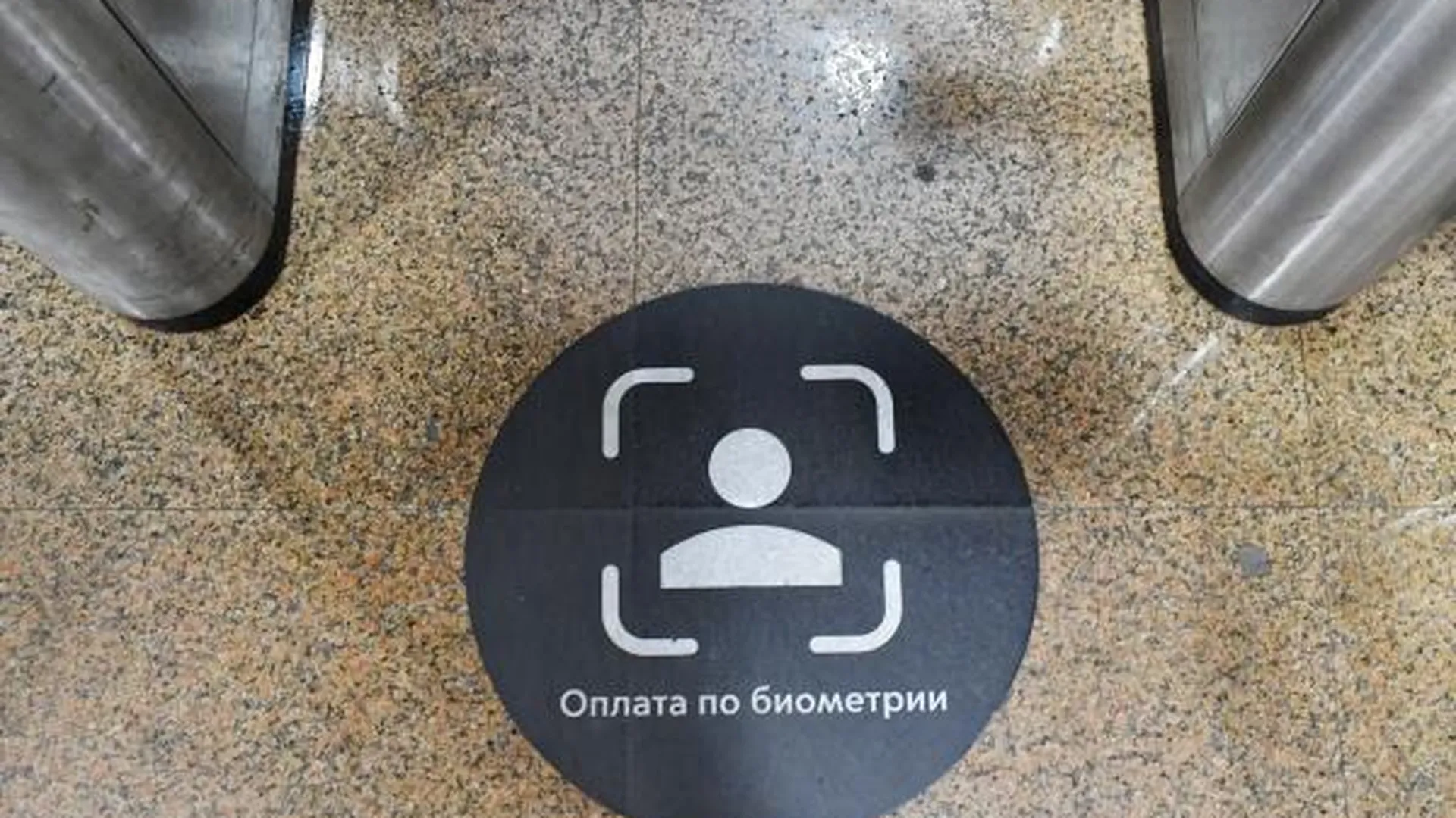 Внедрение биометрии на транспорте в России отложили