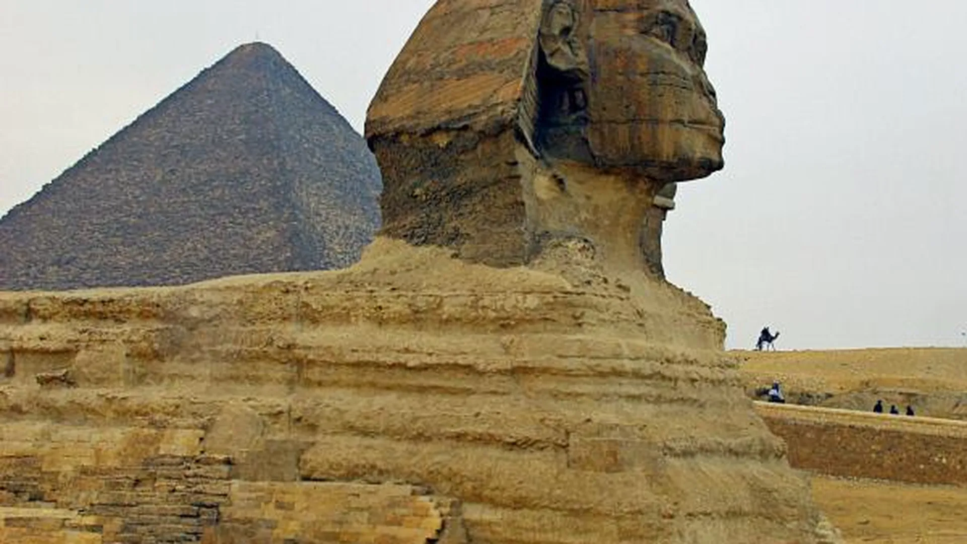 О восстановлении авиасообщения с Египтом сейчас можно забыть - Совфед