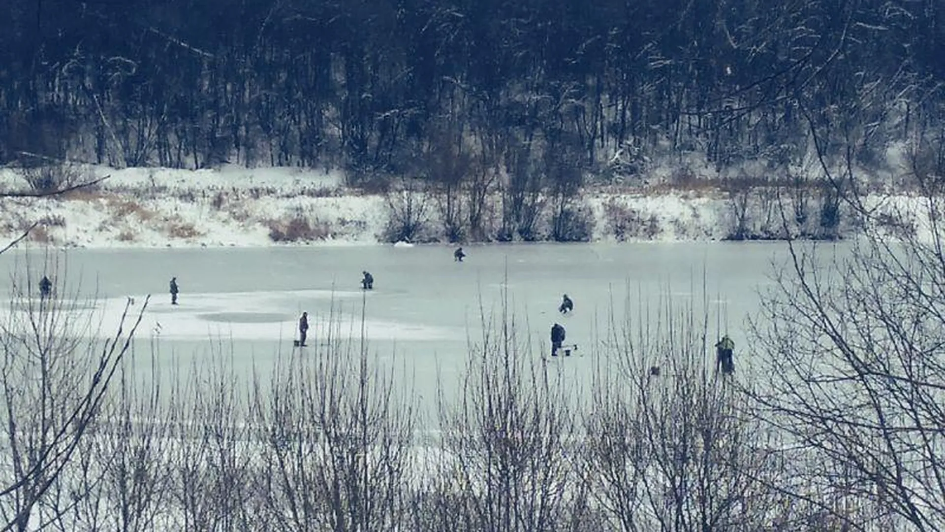 Массовое скопление рыбаков на тонком льду встревожило жителей в Клину