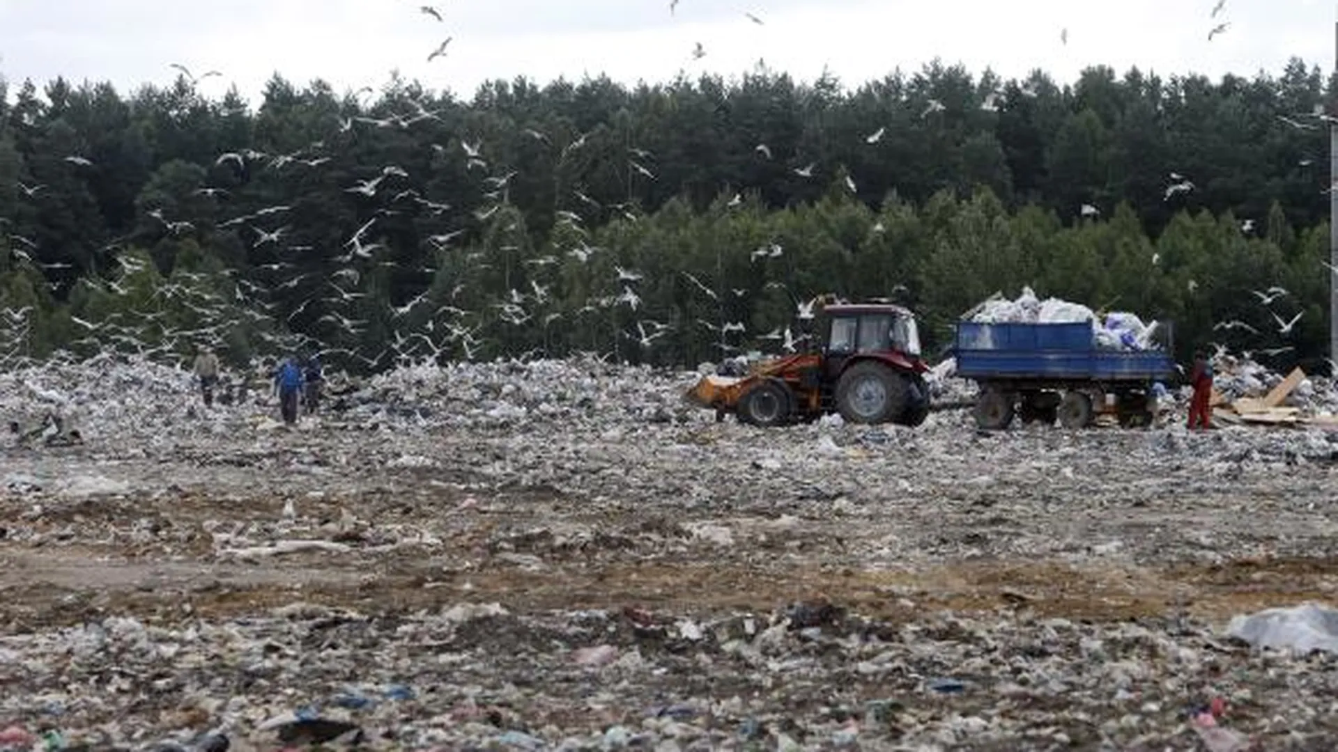 Область получит полномочия по переработке бытовых отходов