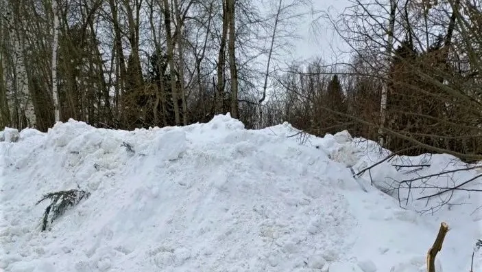 В Подмосковье создают природные холодильники для хранения посадочного материала