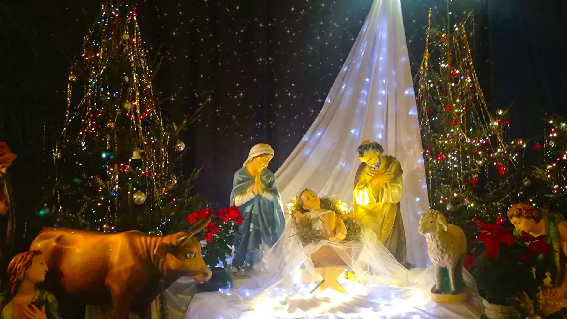 Один праздник, но две даты. Почему католики и православные отмечают Рождество в разные дни