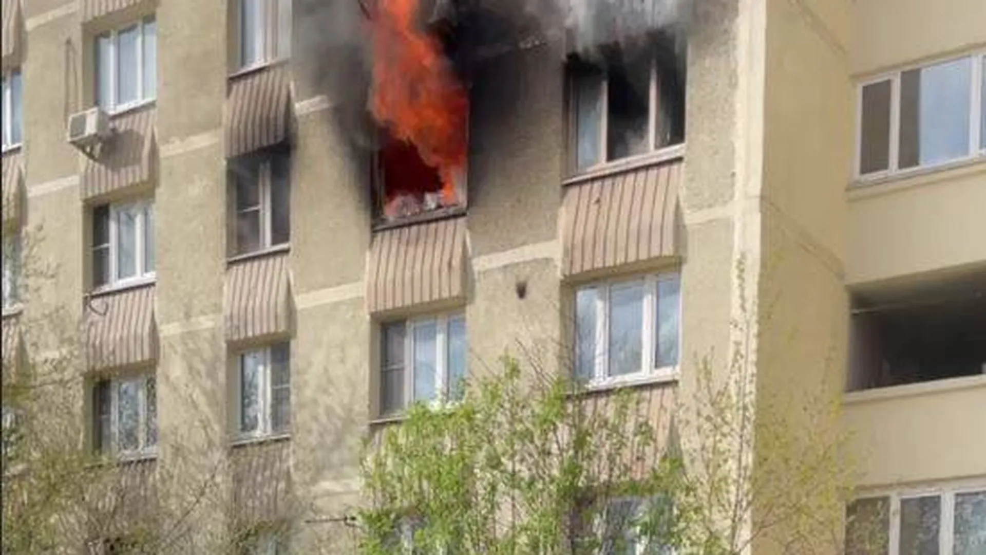 Квартира сгорела дотла в девятиэтажке в Мытищах. Главное