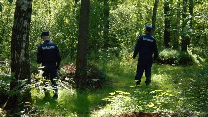 Двух ребятишек, которые отправились в лес по ягоды и потерялись, нашли в Ступинском районе