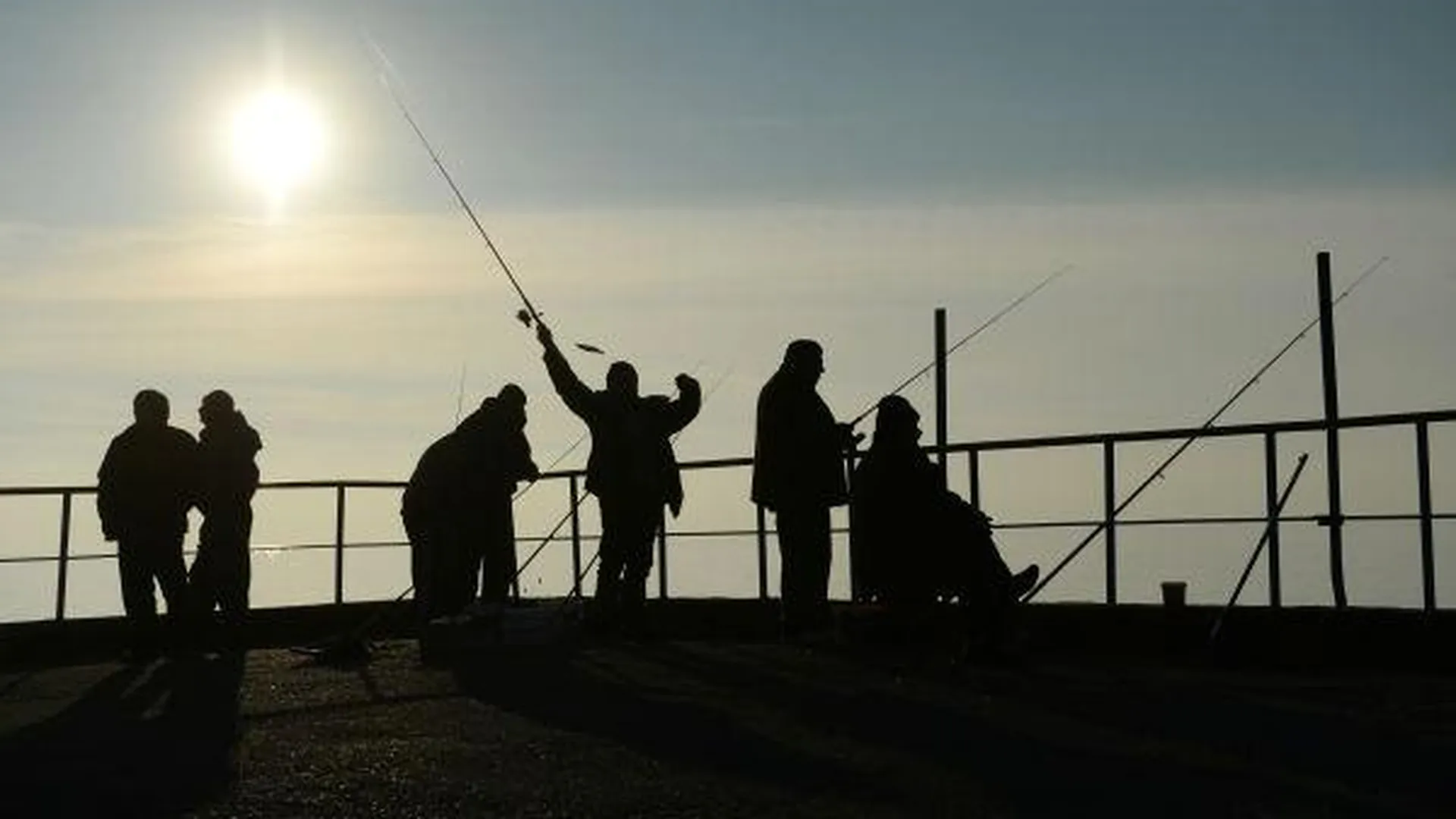 В области в День рыбака поймали 17 кг карпа