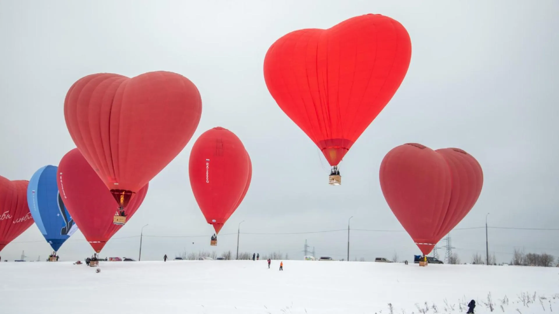 Второй фестиваль аэростатов в форме сердца пройдет в подмосковном Дмитрове
