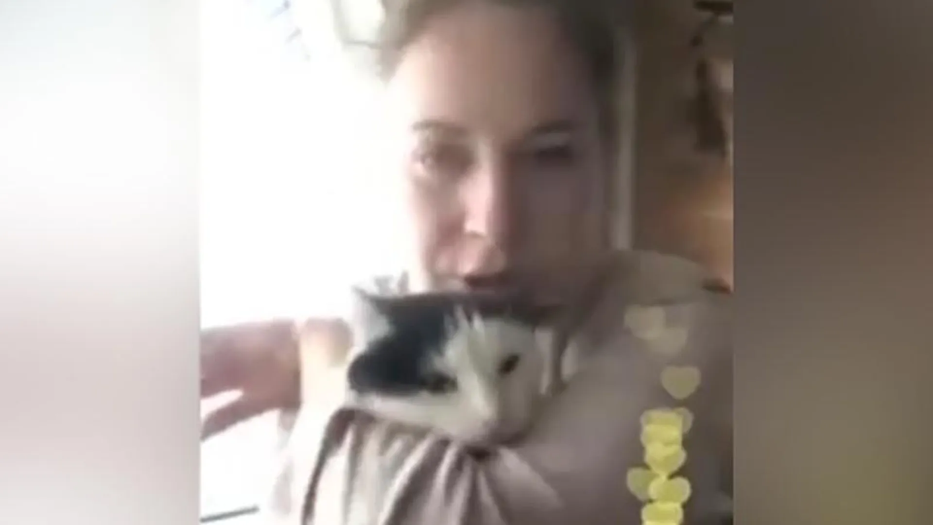 Жительница Дмитрова кусала кошку за голову в прямом эфире: возможно, так она мстила бывшему  возлюбленному 