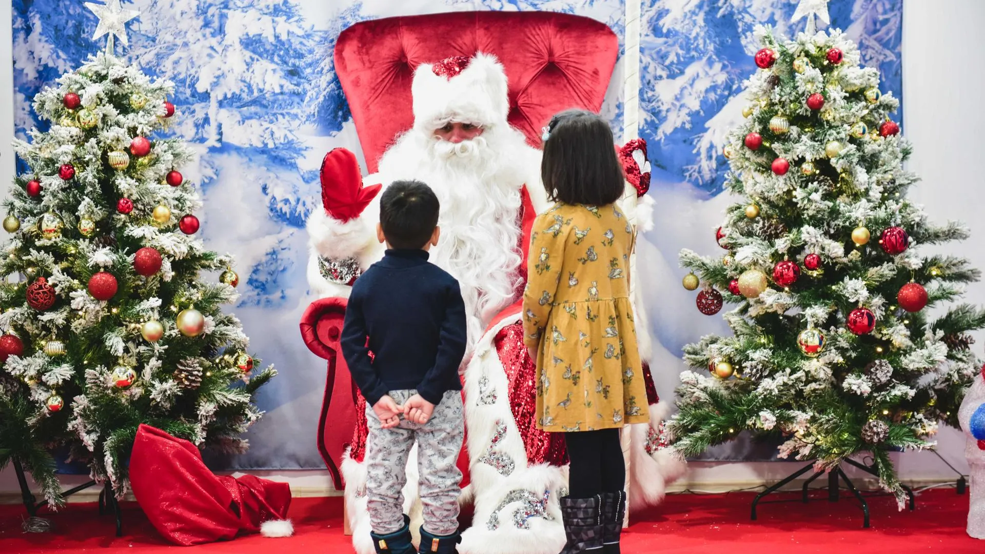 Около 500 человек посетили резиденцию Деда Мороза в Химках с начала декабря