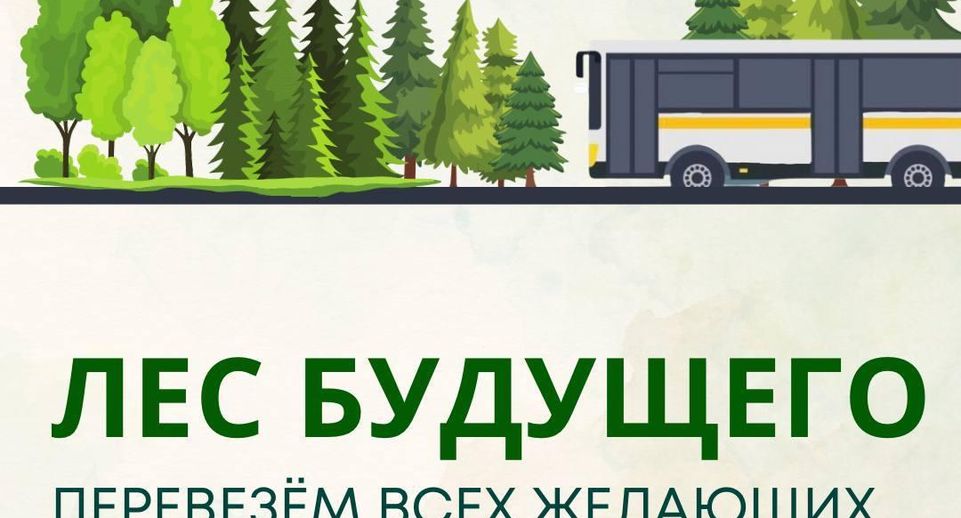 Акция «Лес будущего» стартует в Подмосковье 18 мая