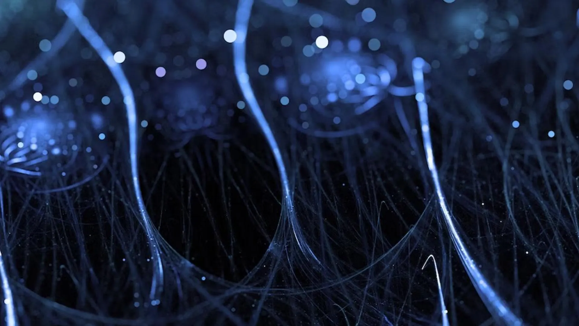 «Система пластична и адаптивна»: выяснилось, восстанавливаются ли нервные клетки