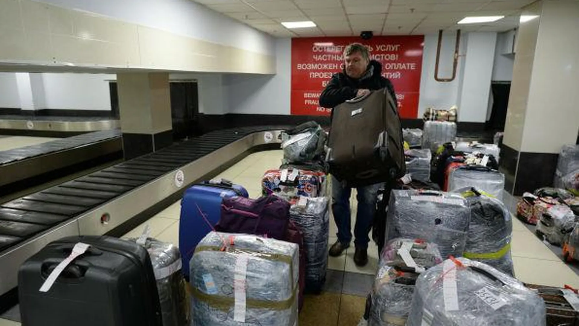 Около 12,5 тыс единиц багажа из Египта выдали туристам в «Домодедово»