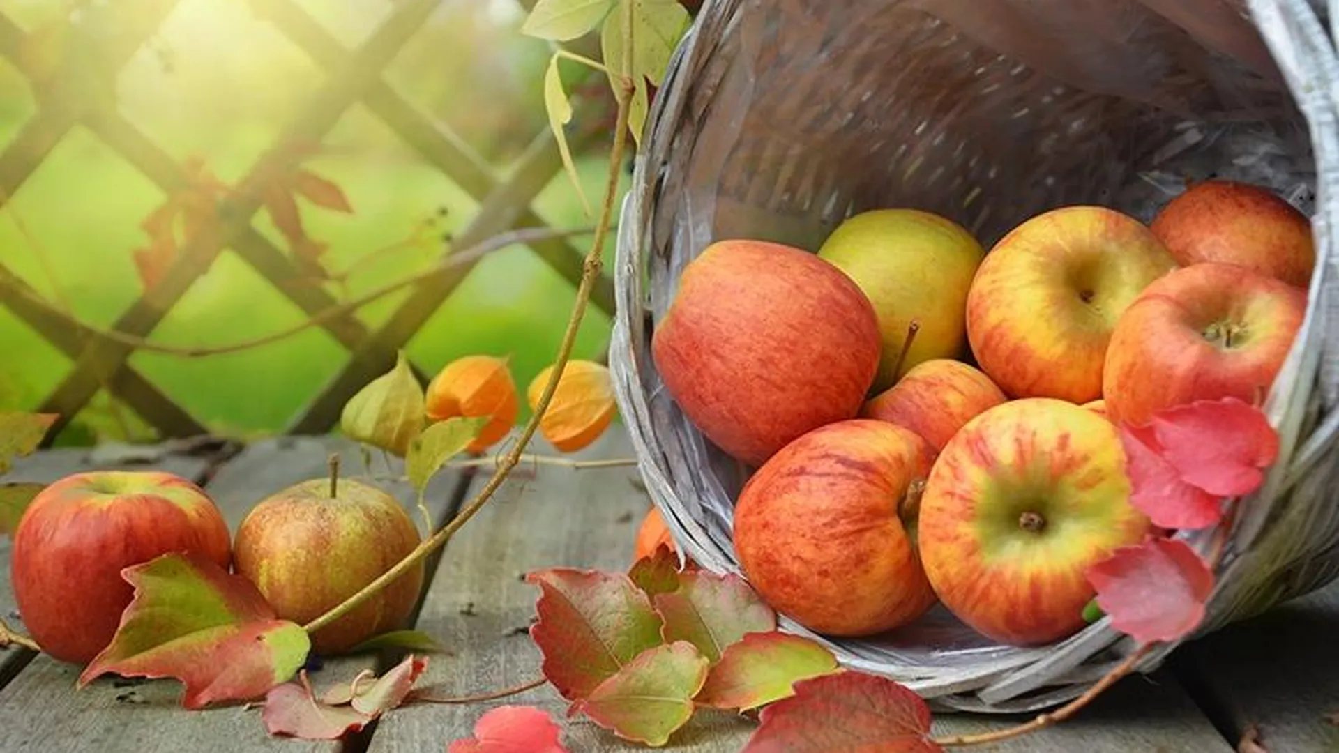 Жителям Подмосковья рассказали, как получить максимум пользы от осенних яблок 