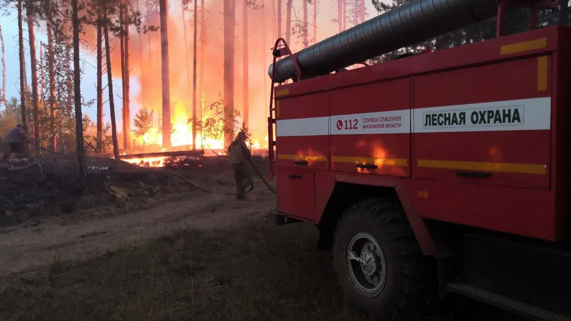 Лесных пожарных в Подмосковье застраховали от несчастных случаев