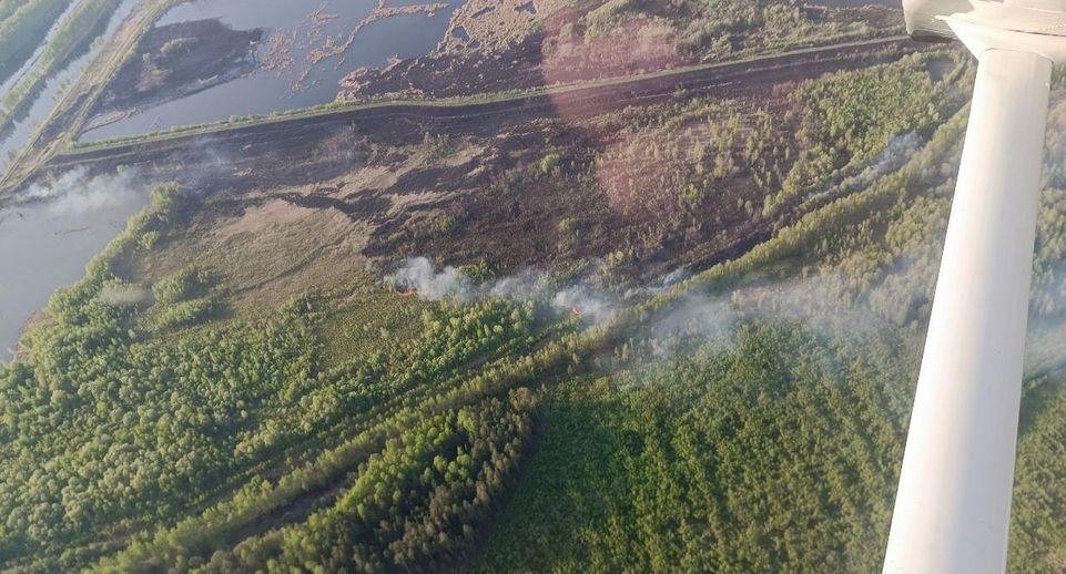 Воздушный патруль поможет защитить леса Подмосковья от пожаров