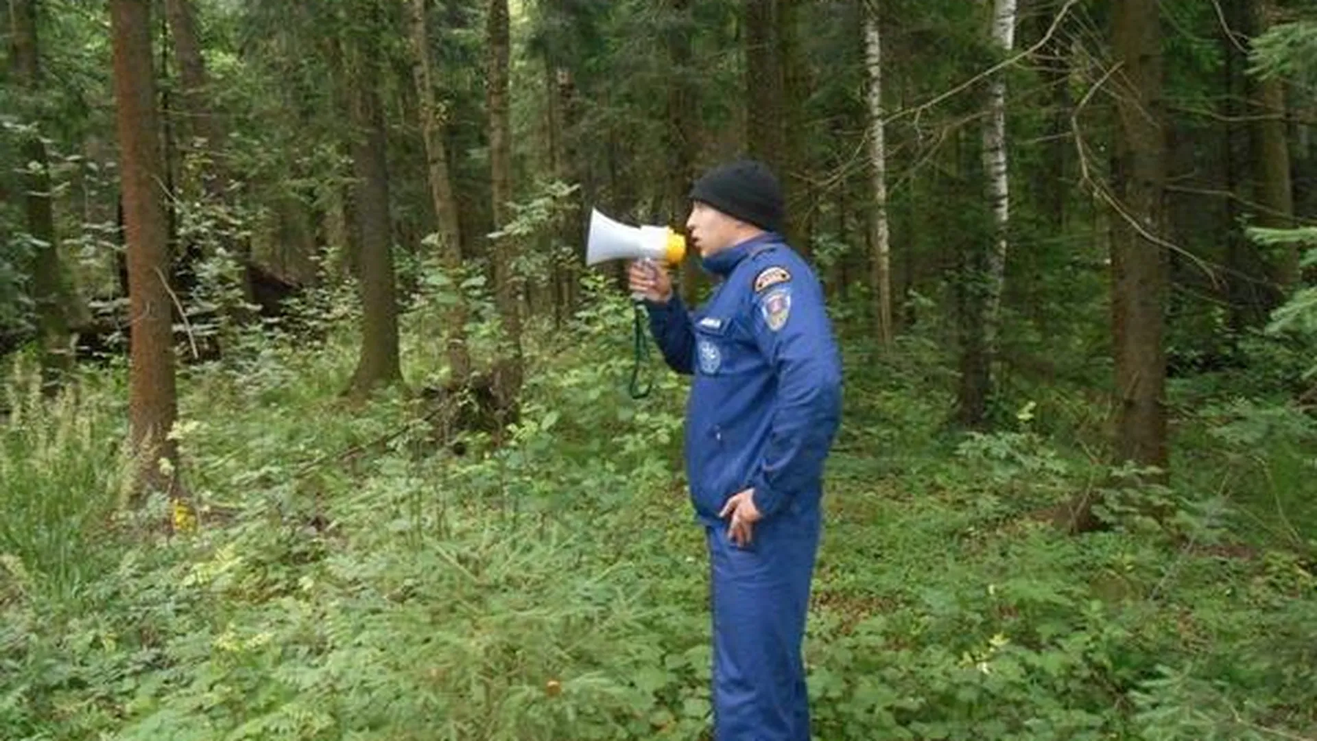 Алгоритм поиска заблудившихся в лесу разработают в области