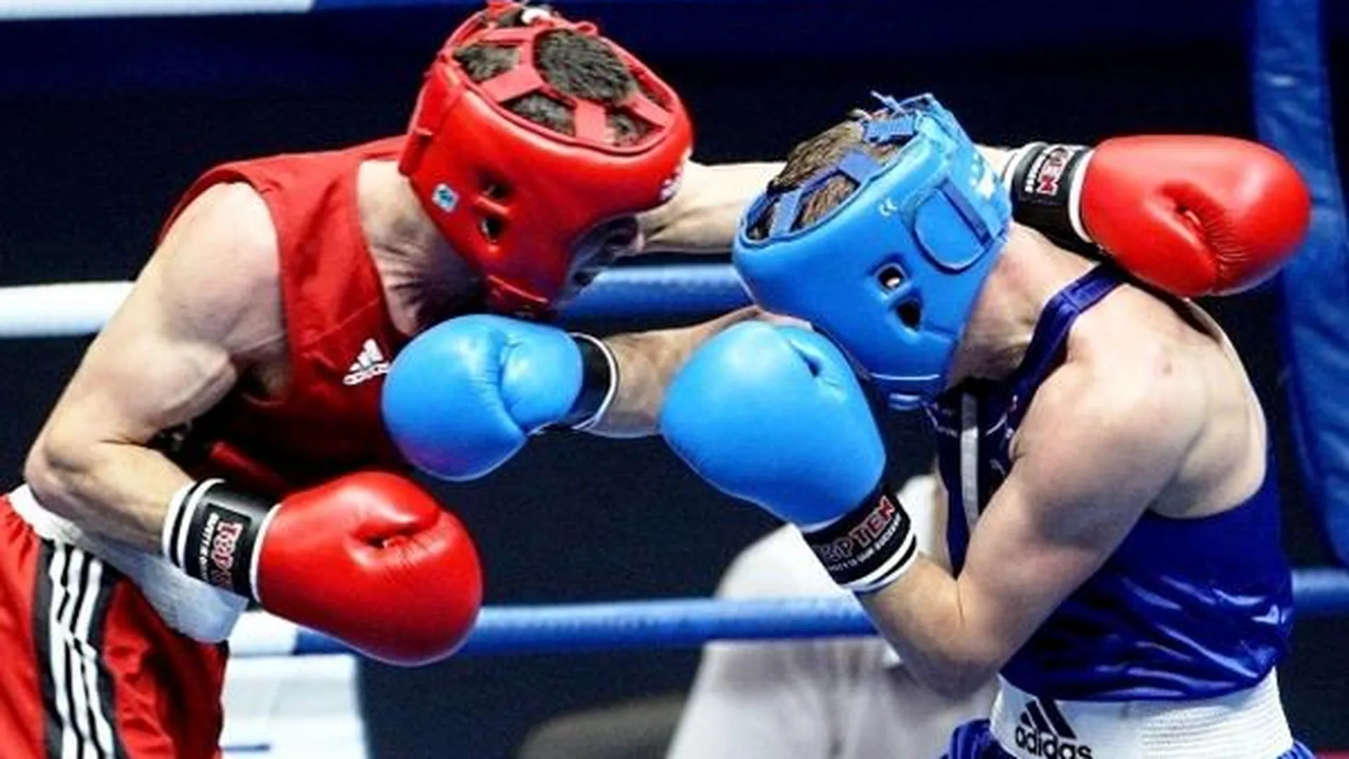 Золото и серебро завоевали подмосковные боксеры на турнире в Грозном