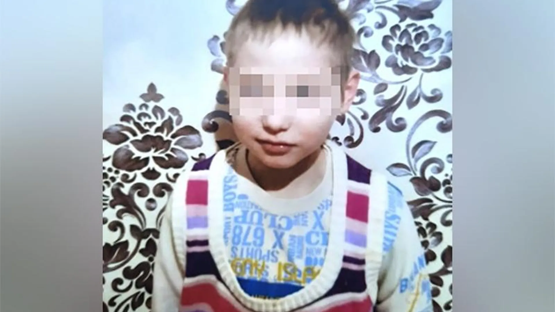 Следователи возбудили дело по факту пропажи мальчика-аутиста под Волоколамском