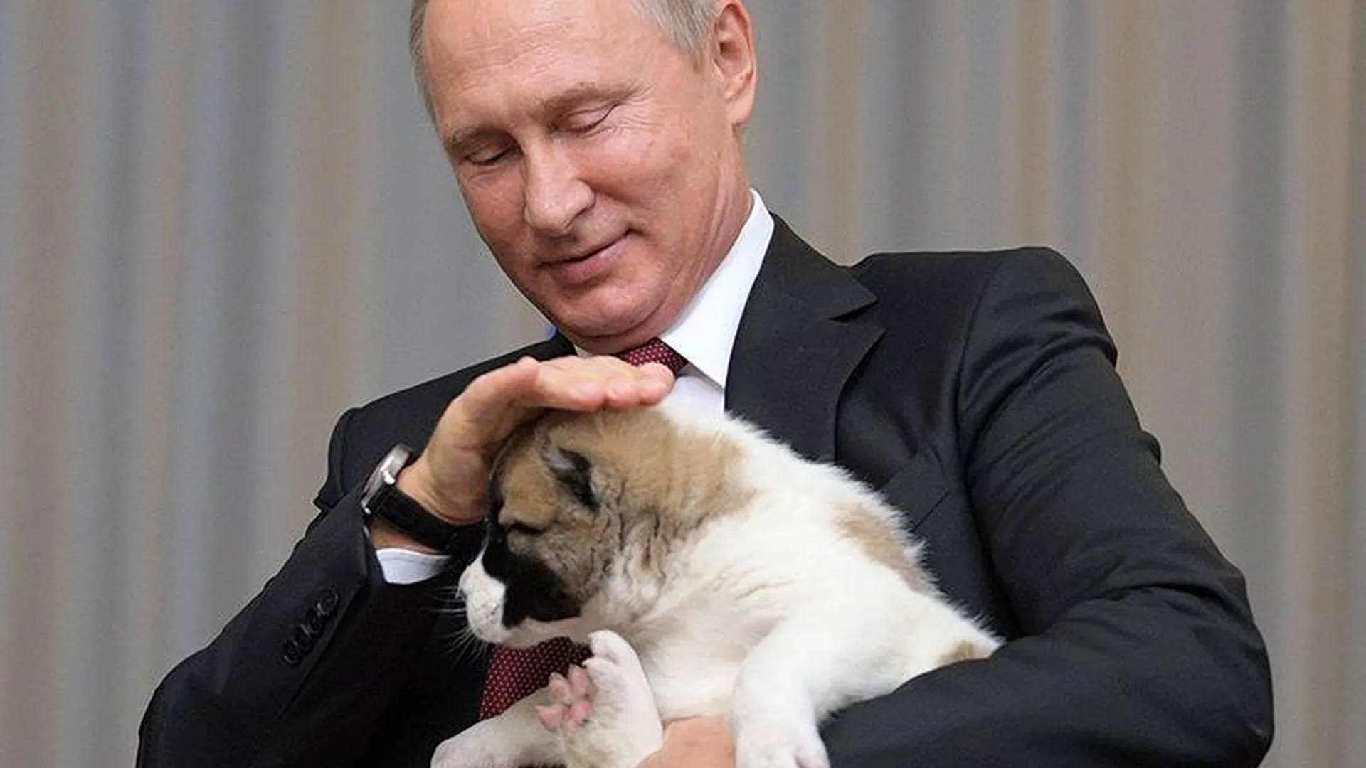 Какие необычные подарки дарили Путину на дни рождения