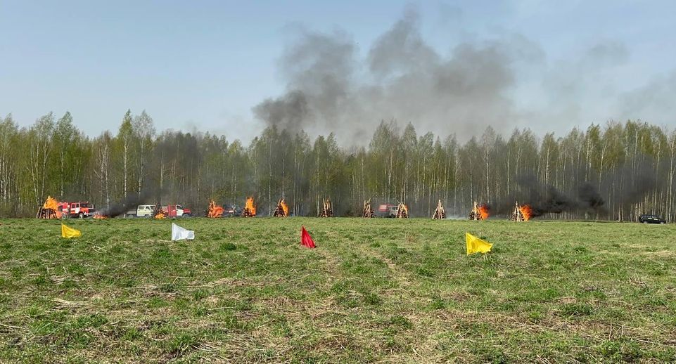 Учения по ликвидации лесных пожаров прошли в Богородском округе