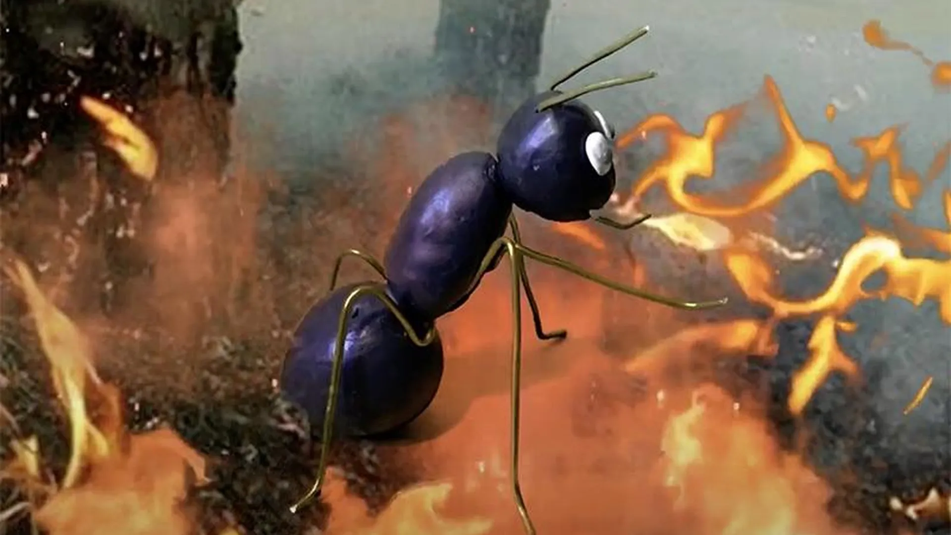 Мультфильм о спасении муравейников от огня создали школьники из Орехово-Зуево