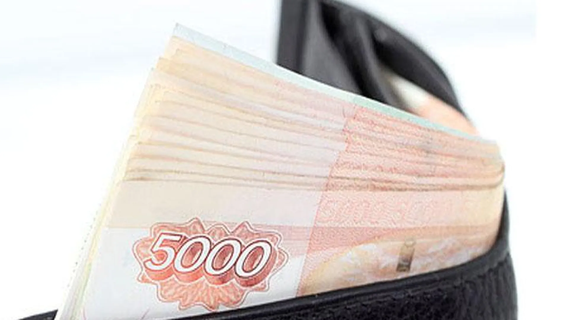 Семидесятидвухлетний пенсионер выкрал портмоне с деньгами в Электрогорске