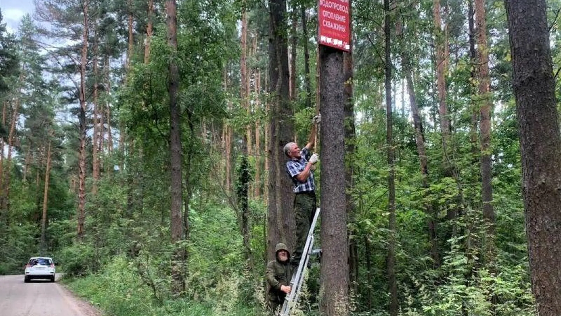 Почти пять тысяч рекламных табличек демонтировали с деревьев в лесах Подмосковья с начала года