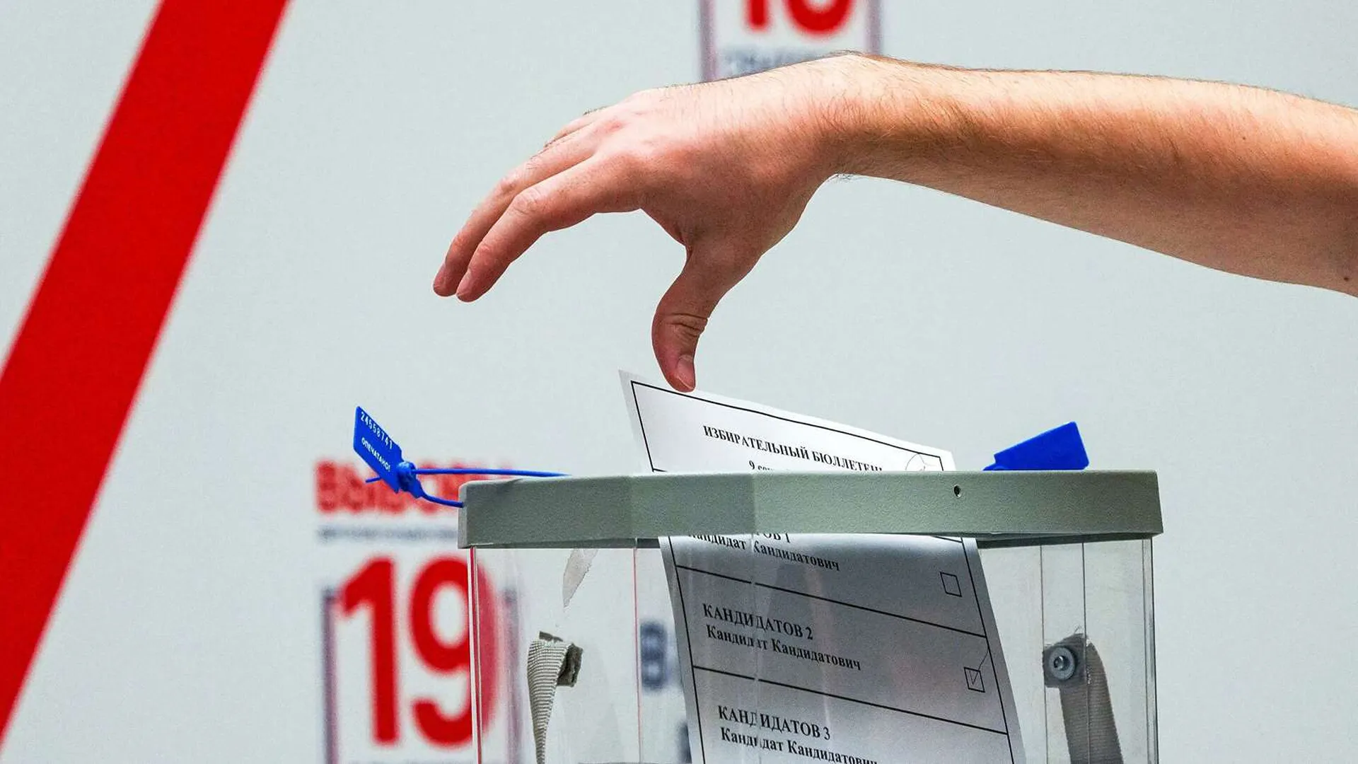 Омбудсмен Подмосковья проверила работу избирательных участков