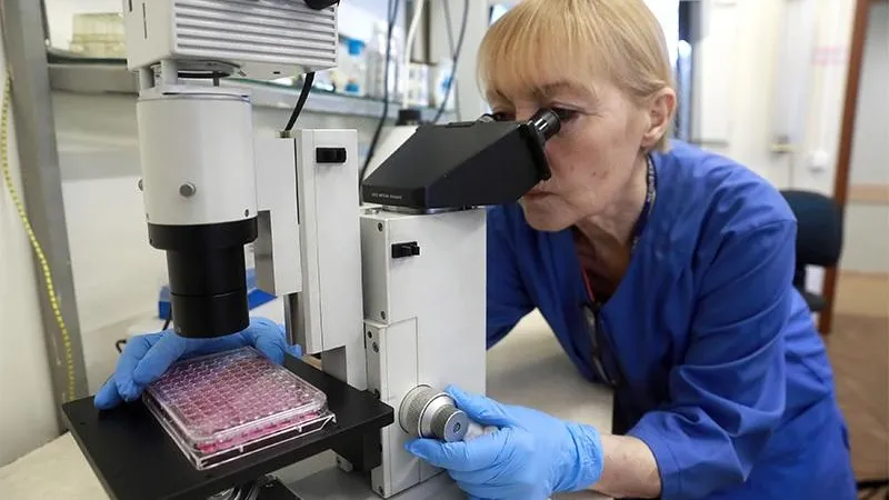 Новая лаборатория по выращиванию кроликов без иммунитета открылась в Подмосковье 