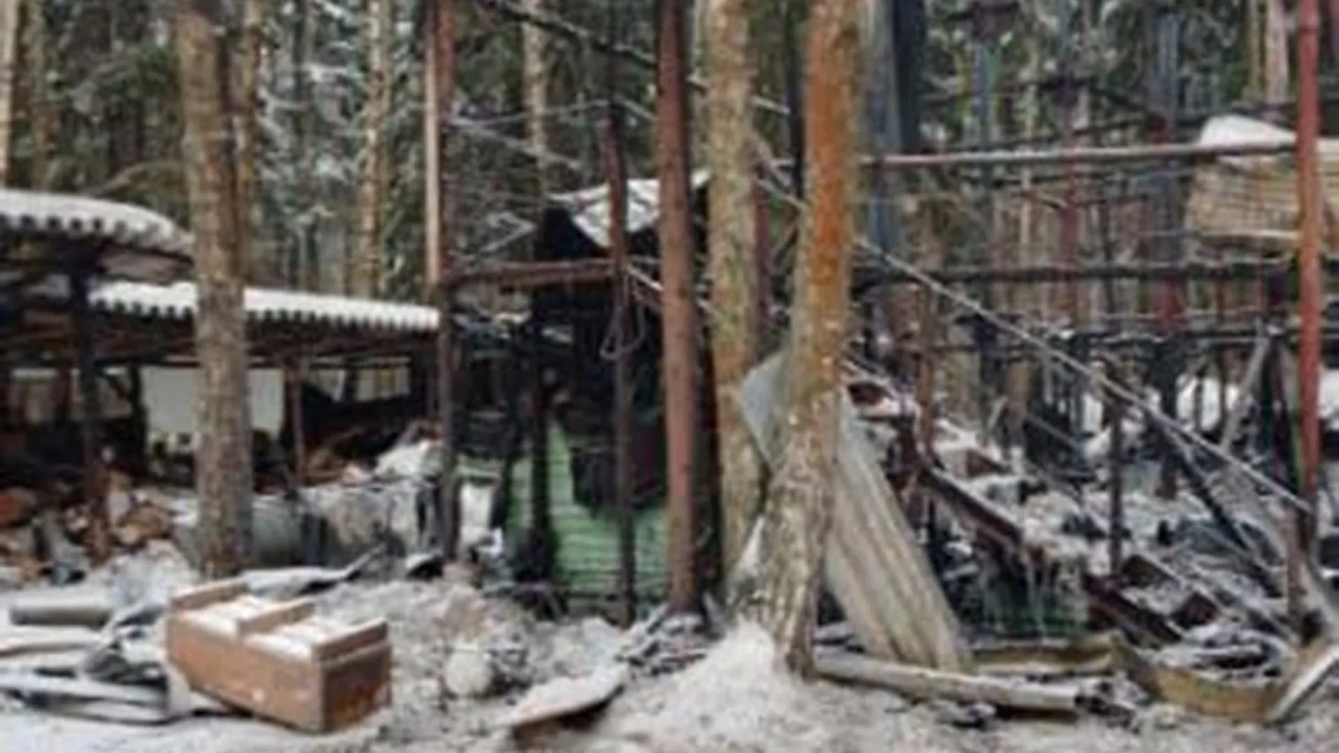 Под Мытищами во время пожара погибло три десятка питомцев зоопарка