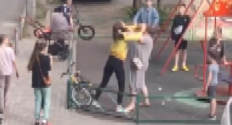 Драку двух матерей на детской площадке в Люберцах сняли на видео