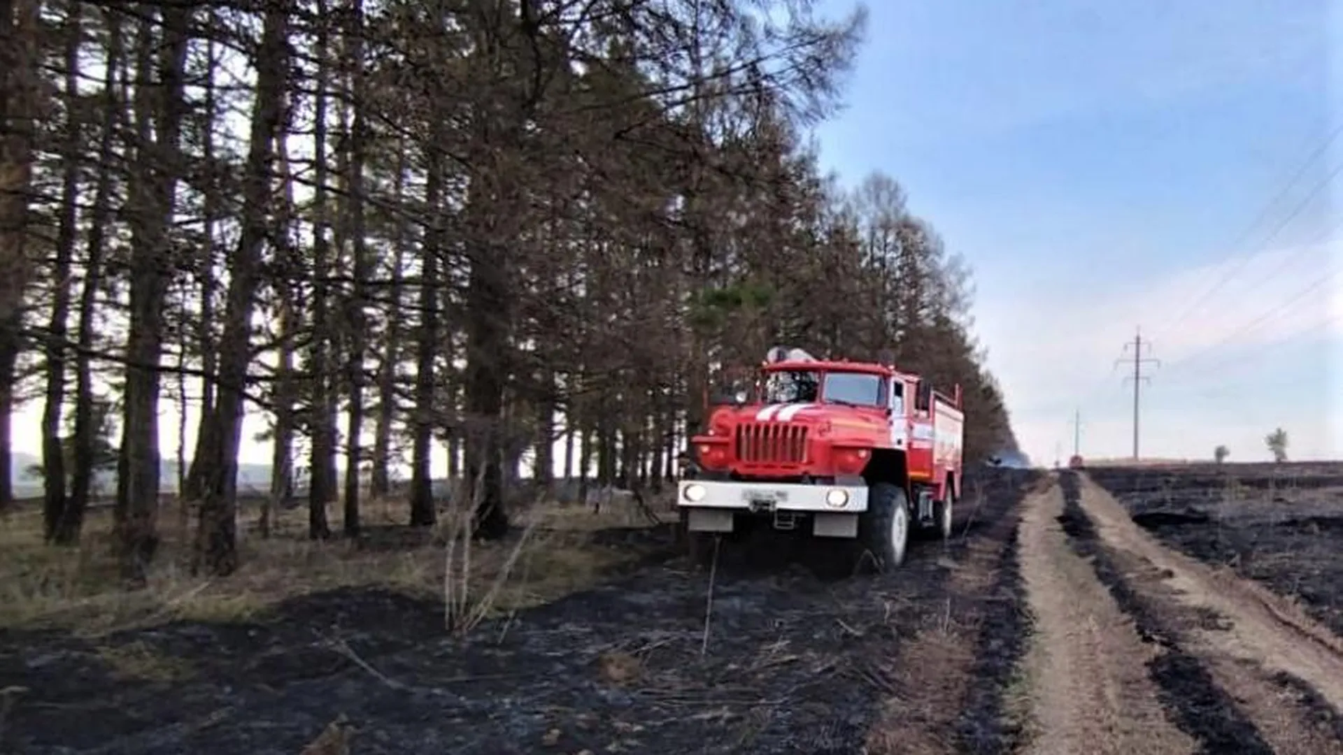 Фотография Комитета лесного хозяйства Московской области