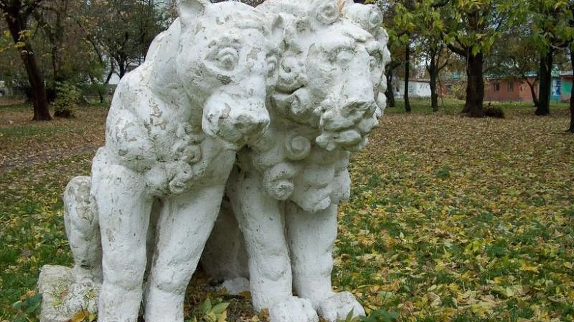Семью «грустных львов» разлучили в Серпухове