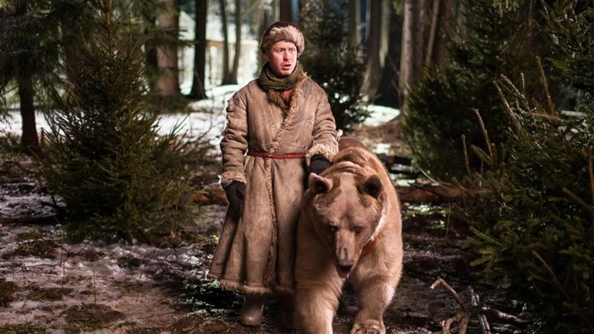 «Медведь был очень большой». Как снимали «Елки 1914» в Солнечногорском районе 