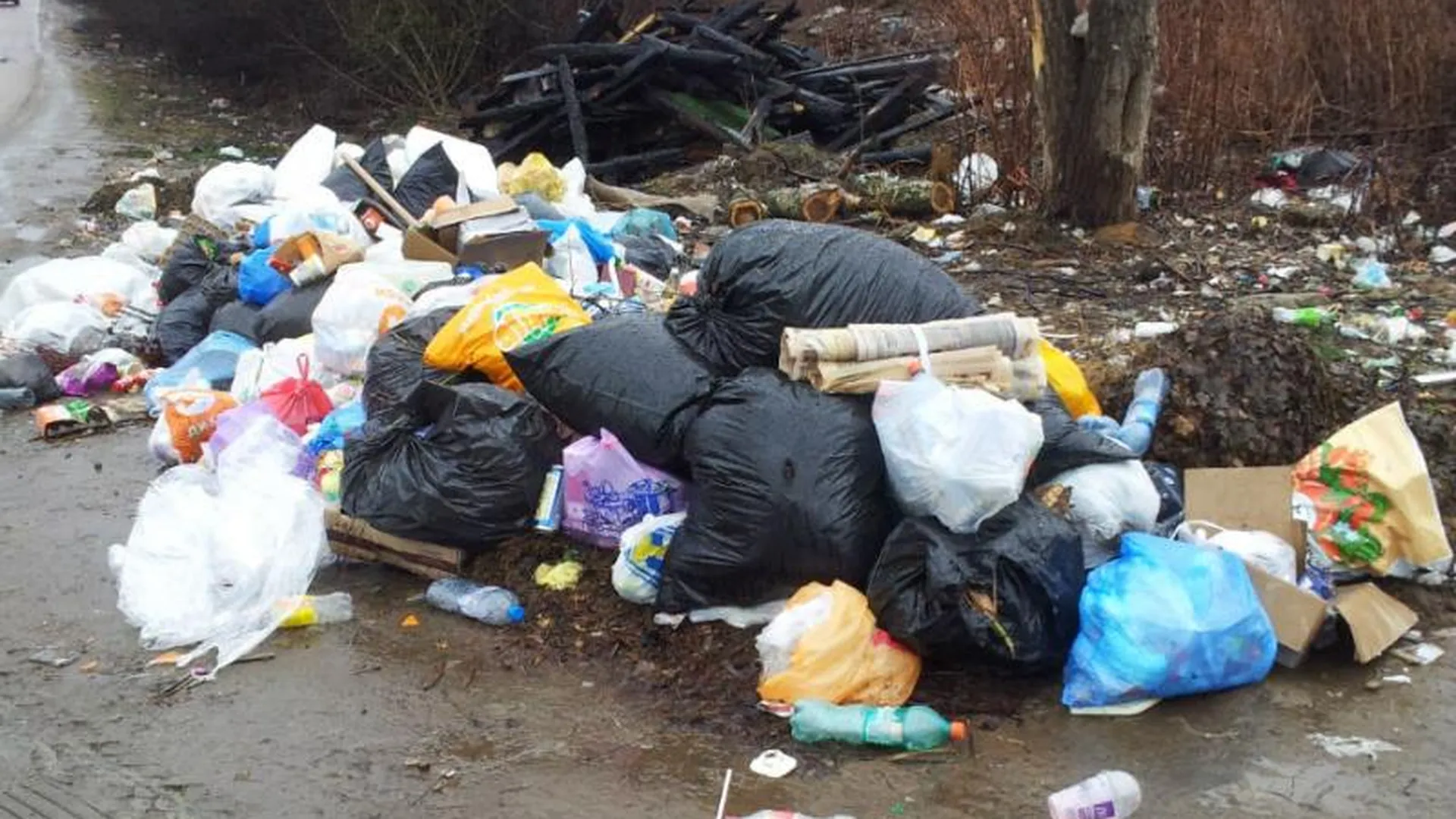 Жители Пушкина: мкр. Клязьма превращается в огромную свалку мусора