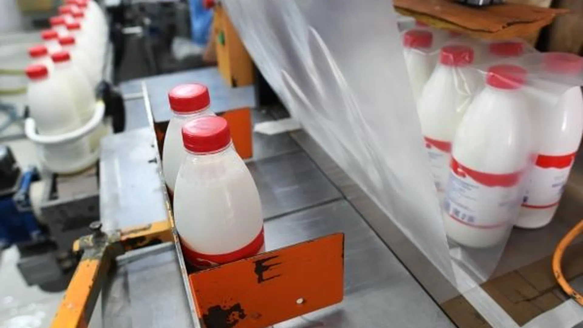 Новый молочный завод появится в Московской области