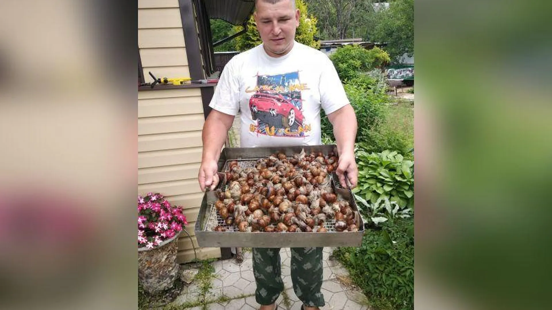 Житель Подмосковья удивил соцсети блюдом из своих садовых улиток