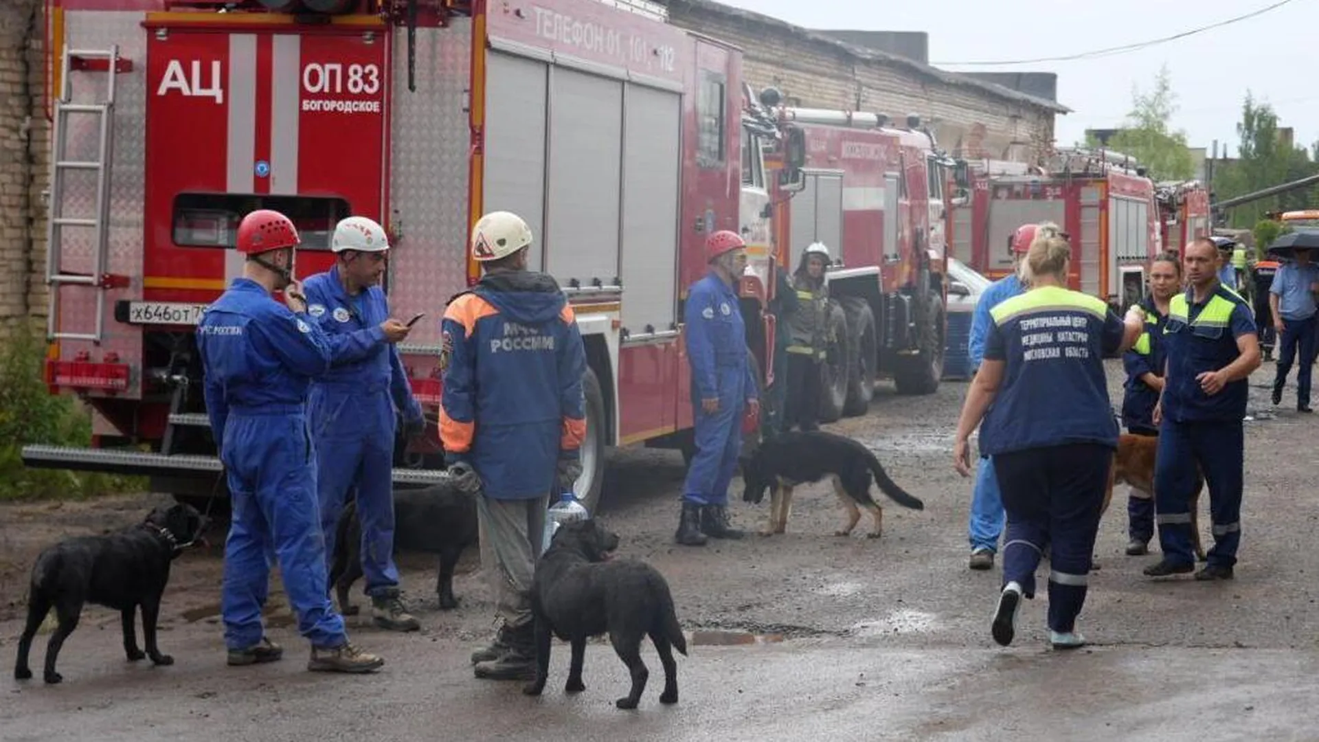 На месте взрыва в подмосковном Сергиевом Посаде работают 157 спасателей