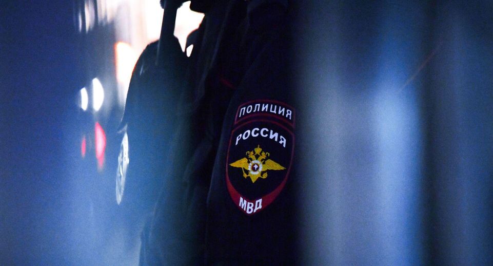 МВД: в Петербурге задержали подростка за стрельбу по прохожим из автомобиля