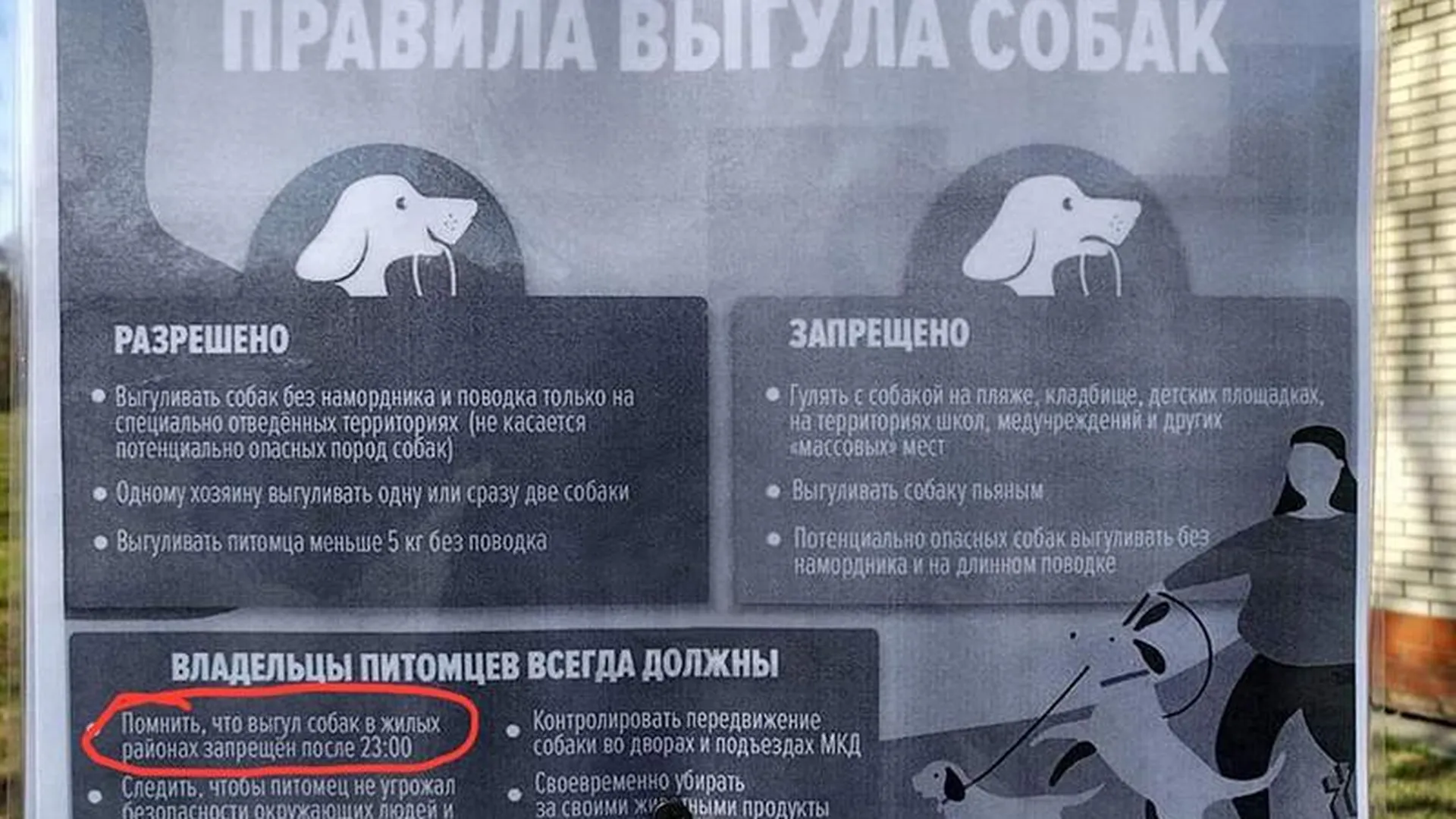 Странные таблички, запрещающие выгул собак, появились в Химках