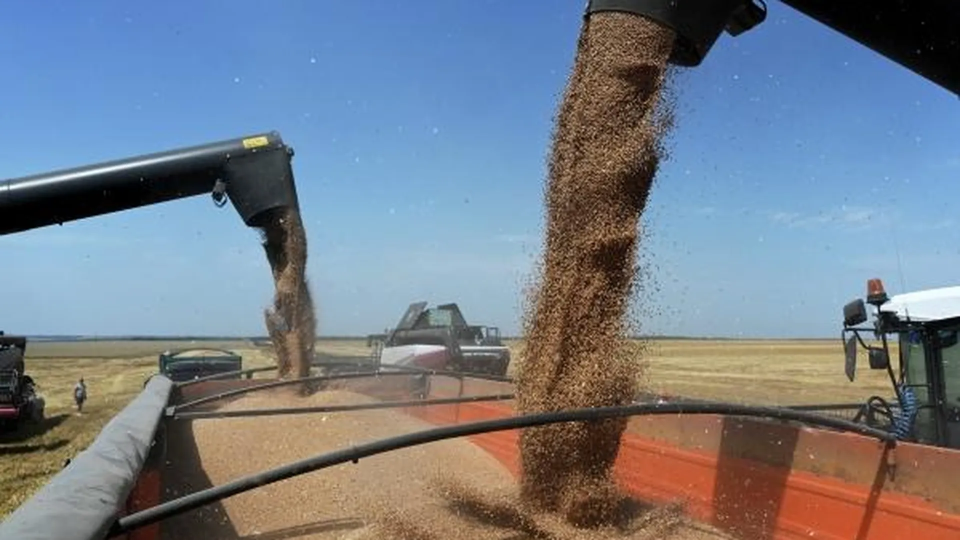 Меры ради мер. Зачем ЕС вводить пошлины на импорт зерна из России и Белоруссии