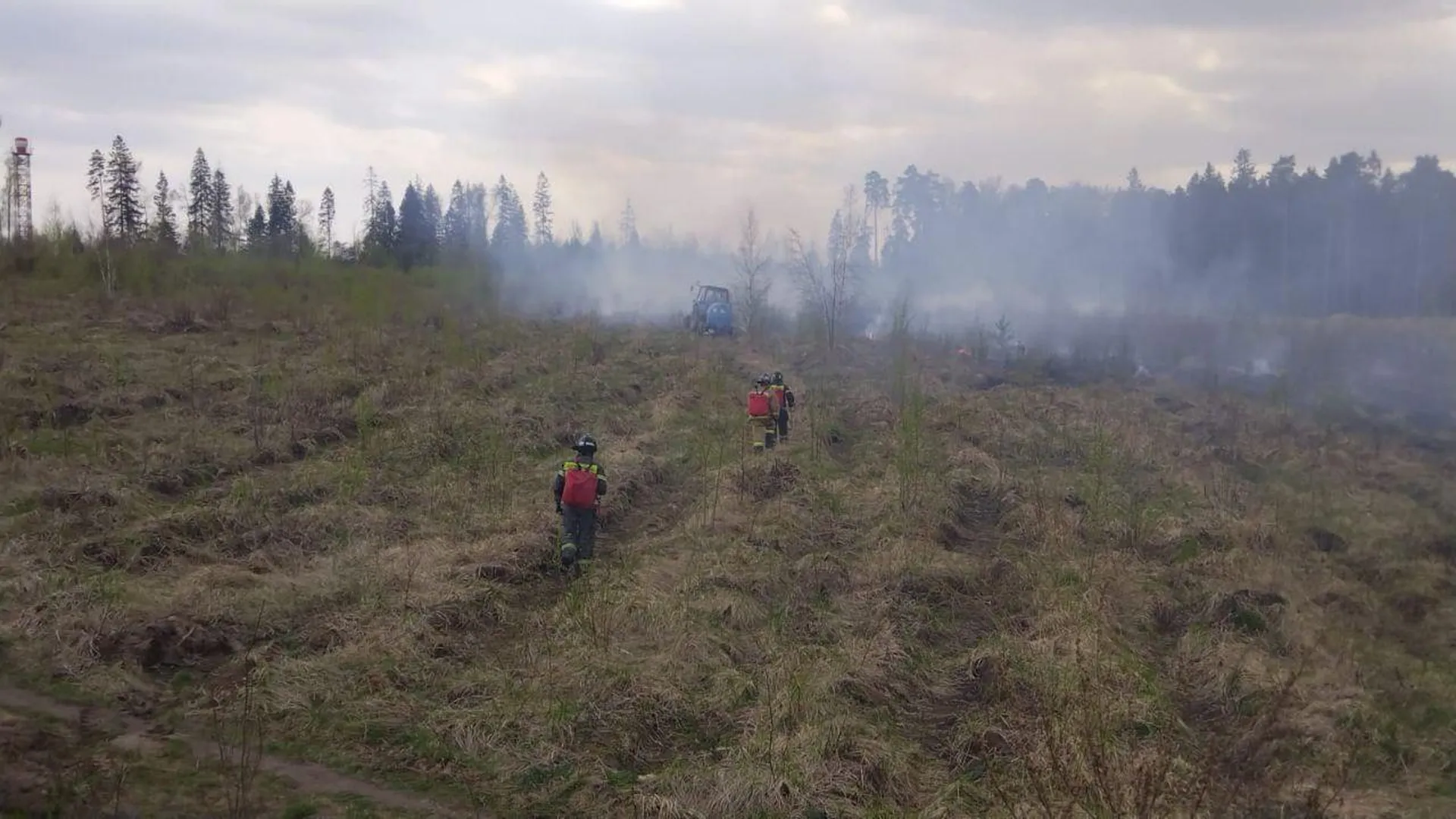 Лесной пожар потушили в Химках