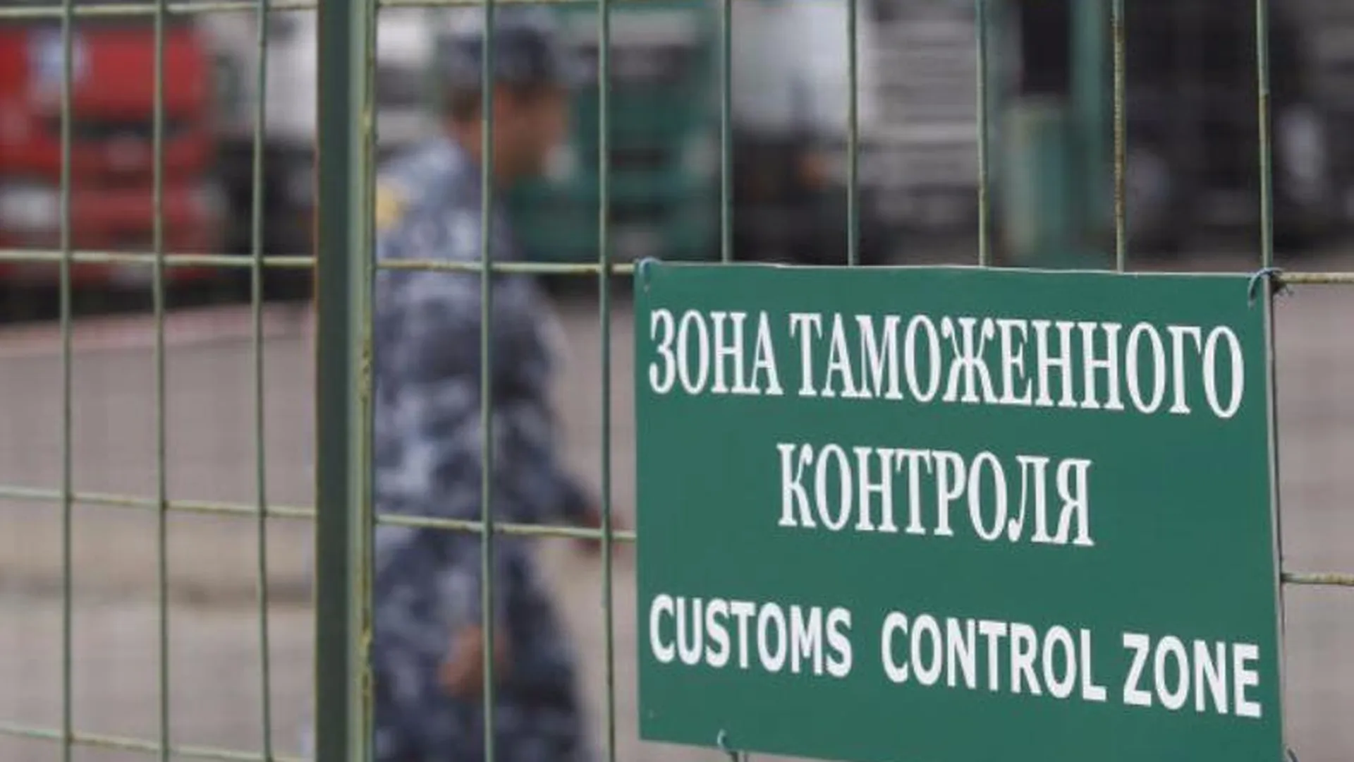 Русскую контрабандистку с кокаином задержали в Домодедово